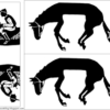 HORSE PUZZLE - Image 2