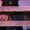 LADY IN HALF ILLUSION - Image 2