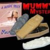 MUMMY MYSTERY MAGIC - Image 2