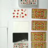 INSTANT PRINTO CARDS MAGIC - Image 3