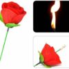 FIRE TORCH TO ROSE MAGIC - Image 4