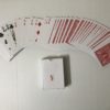CHEEK TO CHEEK CARD DECK MAGIC TRICK - Image 2