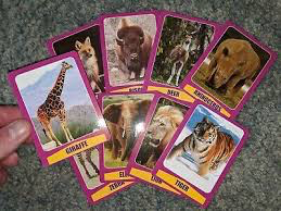 MAGIC SAFARI