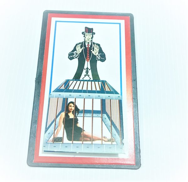Lady to Tiger Picture Magic (Pocket Version)