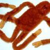 VENTRILOQUISM MONKEY PUPPET (FAR) / MONKEY TALKING DOLL - Image 3