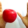 RUBBER APPLE APEARING MAGIC / SOFT APPLE MAGIC - Image 5