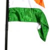 STICK TO FLAG MAGIC TRICK / FLAG APPEAR ON STICK MAGIC TRICK / INDEPENDENCE DAY FLAG MAGIC - Image 2