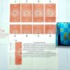 DR.D MARKED MAGICIAN PLAYING CARD DECK SET OF 2 (RED & BLUE) / DR D MARK SPY CHEATING CARD PACK 2 MAGIC TRICK - Image 2