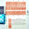 DR.D MARKED MAGICIAN PLAYING CARD DECK SET OF 2 (RED & BLUE) / DR D MARK SPY CHEATING CARD PACK 2 MAGIC TRICK - Image 5