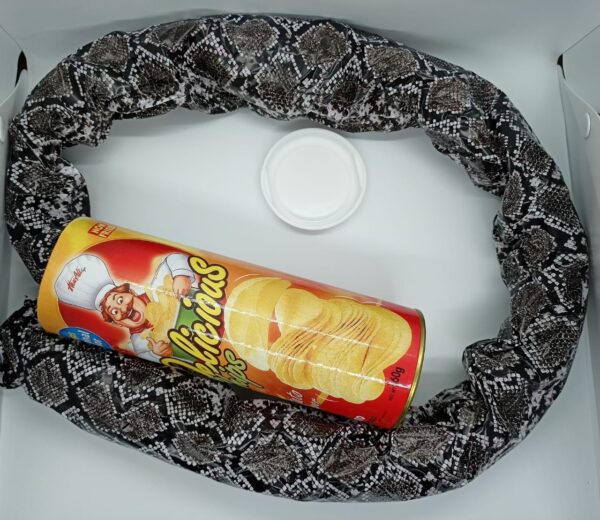 DELICIOUS PRANK CHIPS / CHIPS TO SNAKE SURPRISE GIFT / CHIPS GAG TOY