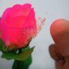 LIGHTING ROSE & LIGHTING THUMB MAGIC TRICK SET - Image 5