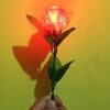 LIGHTING ROSE & LIGHTING THUMB MAGIC TRICK SET - Image 7