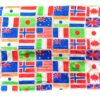 DIFFERENT FLAGS TO INDIAN FLAG MAGIC BLENDO (55CM X 42CM) - Image 3