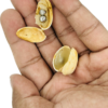 PISTACHIO PENETRATION MAGIC TRICK - Image 2