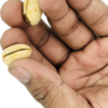 PISTACHIO PENETRATION MAGIC TRICK - Image 3