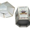 UTILITY BOX MAGIC PROP (RABBIT DESIGN) - Image 6
